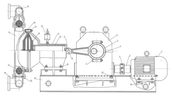 電動隔膜泵的結(jié)構(gòu)圖片