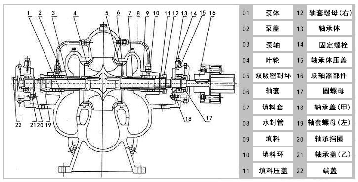 雙吸離心泵的結構圖片