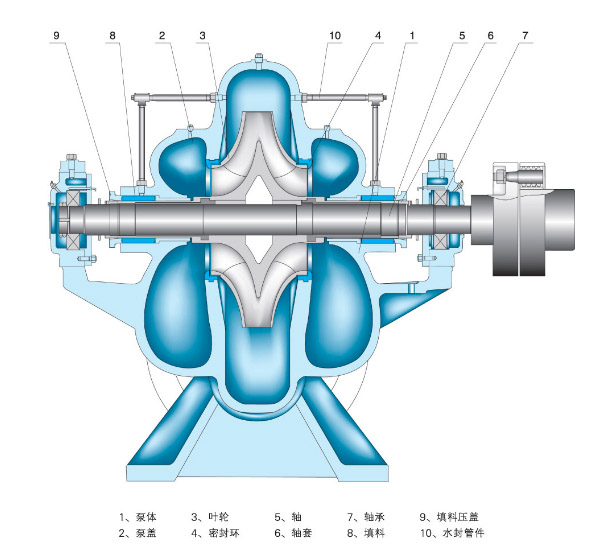 節(jié)能蝸殼式中開泵結(jié)構(gòu)圖片
